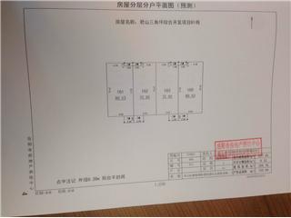 君山三角坪綜合開發(fā)項目（合眾·領島）Ｂ22