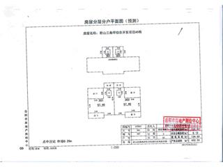 君山三角坪綜合開發(fā)項目（合眾·領島）A204