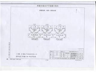 (yng)ힶA54