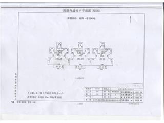 (yng)ힶA55