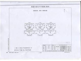 ힶA63