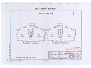 金科·集美東方6棟4