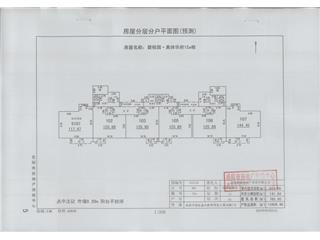 碧桂園奧體華府碧桂園·奧體華府星悅郡12A棟3