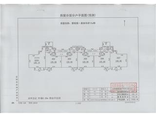 碧桂園奧體華府碧桂園·奧體華府星悅郡12A棟4